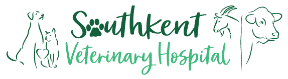 Southkent Veterinary Hospital